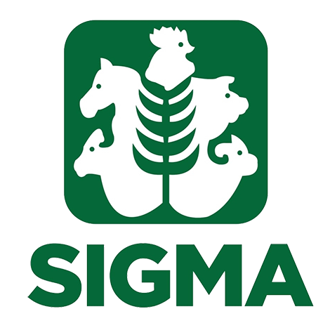 Duck starter - SIGMA