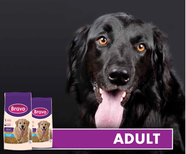 bravo adult - dog kibbles - Pet/dog food in kenya