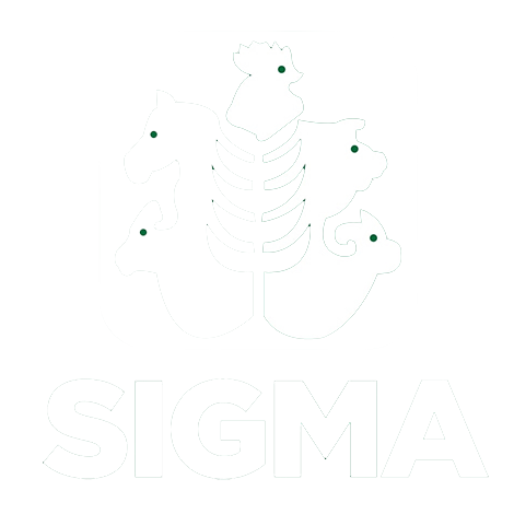 SIGMA